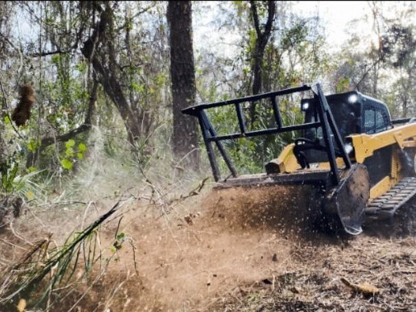 professional-forestry-mowing-services-in-hilo-arborist-services