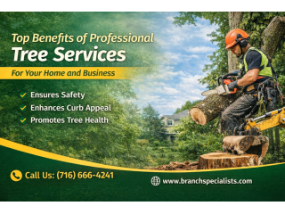 tree-removal-buffalo-branch-specialists-tree-service-small-0