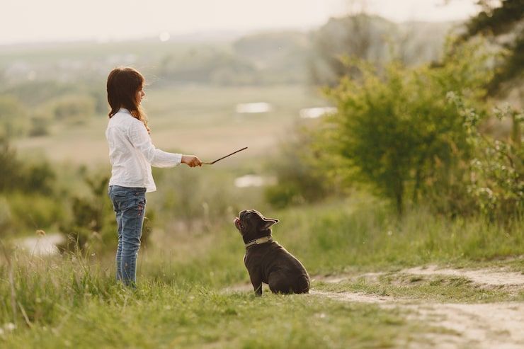 top-dog-trainer-phoenix-obedience-training-experts-az-big-0