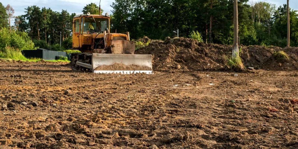 trusted-land-clearing-in-big-island-hawaii-arborist-services-big-0