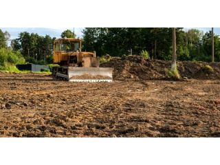 trusted-land-clearing-in-big-island-hawaii-arborist-services-small-0