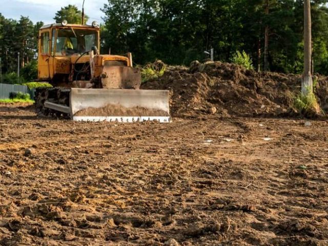 trusted-land-clearing-in-big-island-hawaii-arborist-services