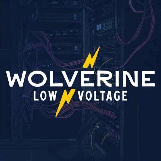 wolverine-low-voltage-big-0