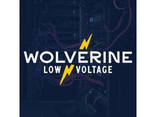 wolverine-low-voltage-small-0