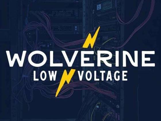 wolverine-low-voltage