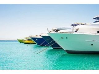 premium-paint-protection-film-installation-small-0