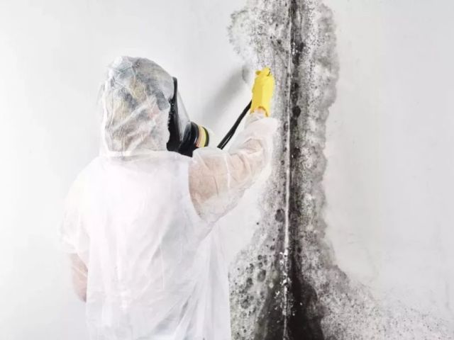 247-fire-water-damage-restoration-services-l-powdersville-sc