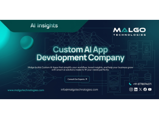 custom-ai-app-development-company-for-data-driven-innovation-small-0
