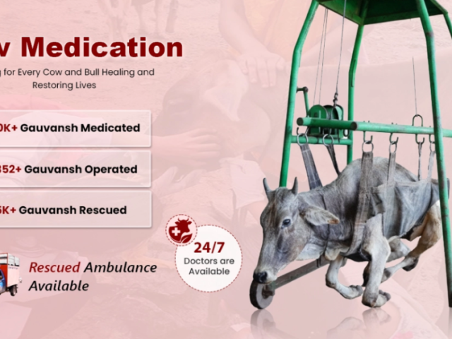 medical-seva-for-cows-a-noble-step-of-compassion