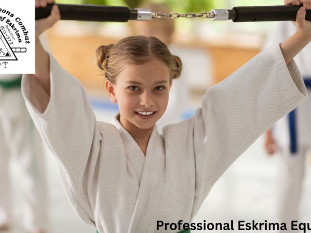 professional-eskrima-equipment