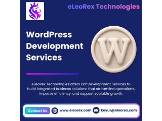 best-wordpress-development-services-eleorex-technologies-small-0