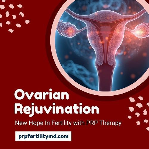 ovarian-rejuvenation-therapy-at-prp-fertility-md-big-0