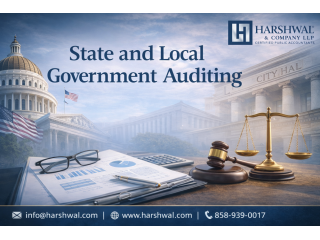 trusted-state-and-local-government-auditing-firm-small-0
