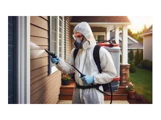 home-pest-control-the-villages-small-0