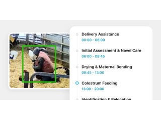 advanced-dairy-management-software-solutions-cattle-care-small-0