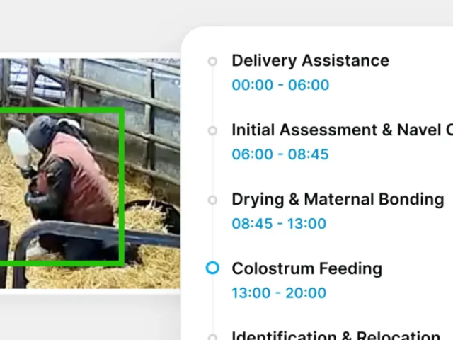 advanced-dairy-management-software-solutions-cattle-care