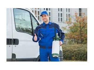 pest-management-melbourne-small-0