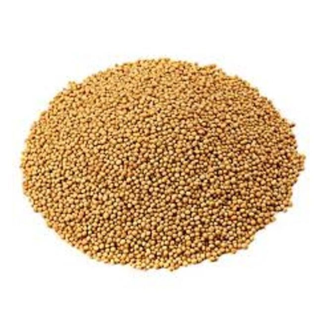pick-whole-yellow-mustard-small-seeds-big-flavour-boost-big-0