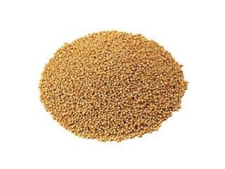 pick-whole-yellow-mustard-small-seeds-big-flavour-boost-small-0