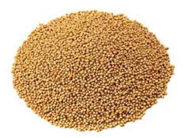 pick-whole-yellow-mustard-small-seeds-big-flavour-boost