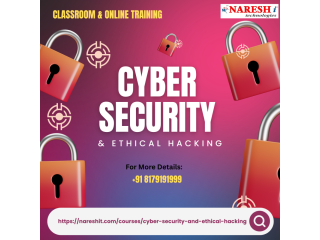 learn-cyber-security-from-industry-experts-nareshit-small-0