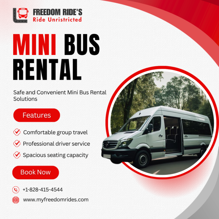 affordable-mini-bus-rental-for-comfortable-group-travel-big-0