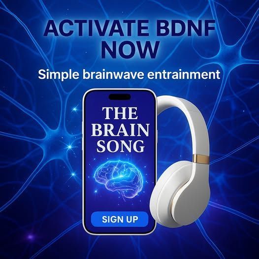 the-genius-song-a-symphony-of-creativity-and-intelligence-big-0