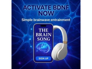 the-genius-song-a-symphony-of-creativity-and-intelligence-small-0