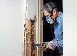 annual-termite-treatment-parrish-fl-big-0