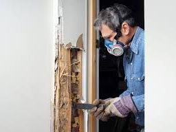 annual-termite-treatment-parrish-fl