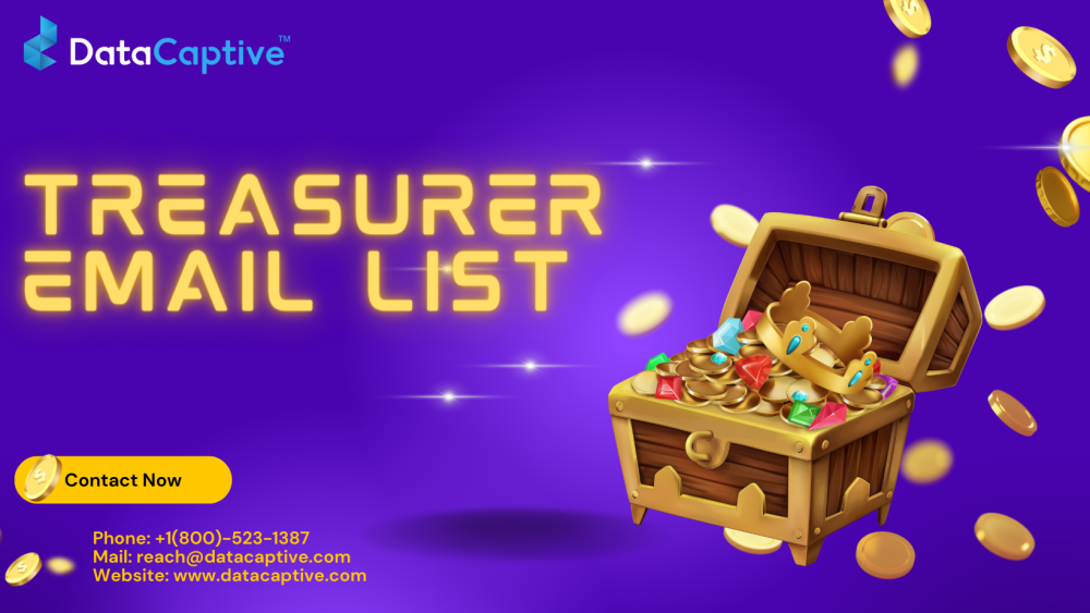 looking-treasurer-email-list-usa-uk-get-it-now-big-0