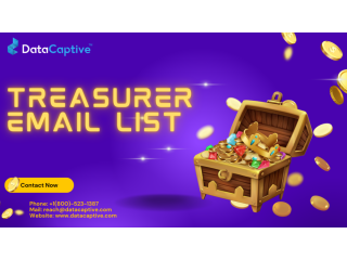 looking-treasurer-email-list-usa-uk-get-it-now-small-0