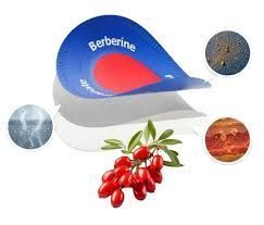 purisaki-berberine-patches-big-0
