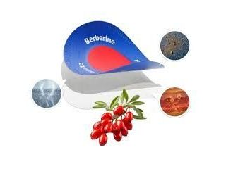 purisaki-berberine-patches-small-0