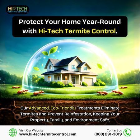 protect-your-home-year-round-with-hi-tech-termite-control-big-0