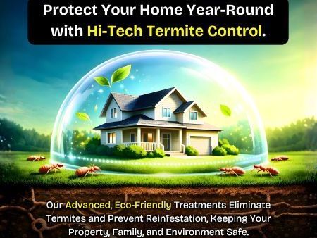 protect-your-home-year-round-with-hi-tech-termite-control