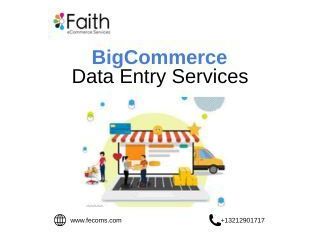 bigcommerce-data-entry-services-for-smooth-catalogs-small-0