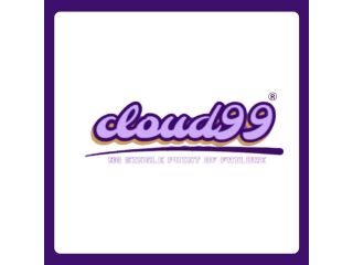cloud99-a-cloud-hosting-provider-small-0