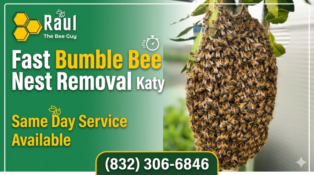 fast-bumble-bee-nest-removal-katy-same-day-service-available-big-0