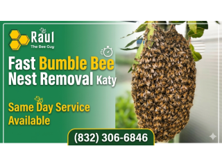 fast-bumble-bee-nest-removal-katy-same-day-service-available-small-0