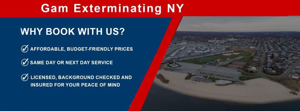 exterminator-near-me-in-new-york-big-0