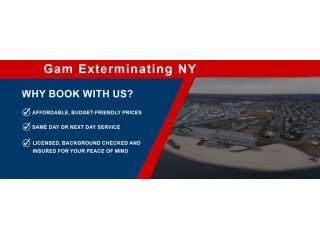 exterminator-near-me-in-new-york-small-0