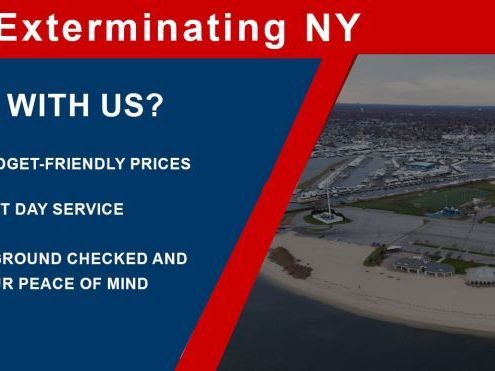 exterminator-near-me-in-new-york
