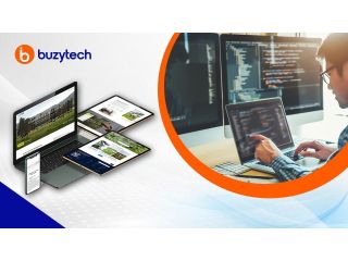best-website-developer-austin-buzytech-small-0