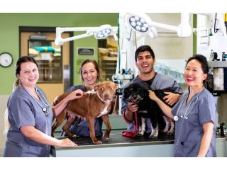 compassionate-lifelong-pet-care-small-2