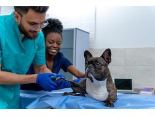 compassionate-lifelong-pet-care-small-0