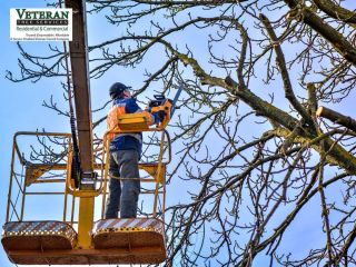 bucket-truck-services-for-tree-trimming-in-md-small-0