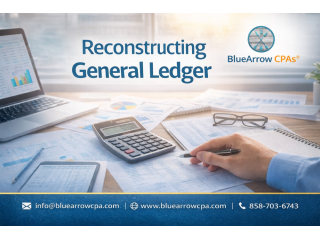 reconstruction-general-ledger-services-by-cpa-firm-small-0
