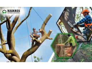 best-tree-cutting-service-in-shamong-harris-brothers-small-0
