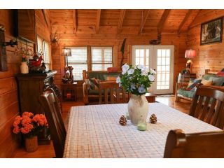 vacation-cabin-for-rent-in-table-rock-lake-mo-small-2